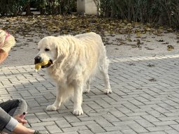 098-20-12-2025 IMG_3251